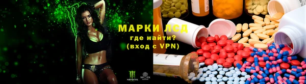 дживик Алзамай