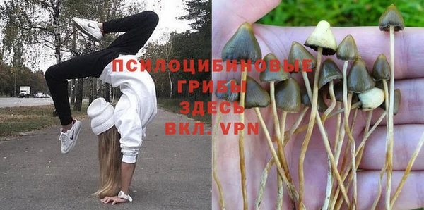 гидра Кулебаки