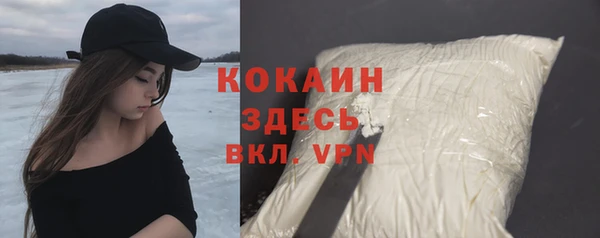 крисы Алексин