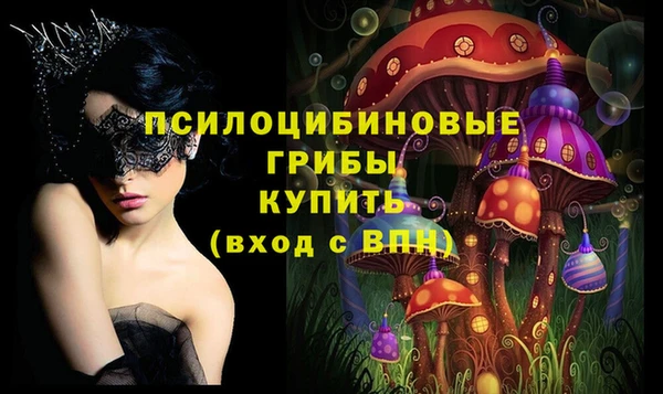 крисы Алексин
