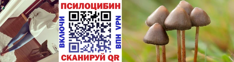 Псилоцибиновые грибы Psilocybine cubensis  Березники 